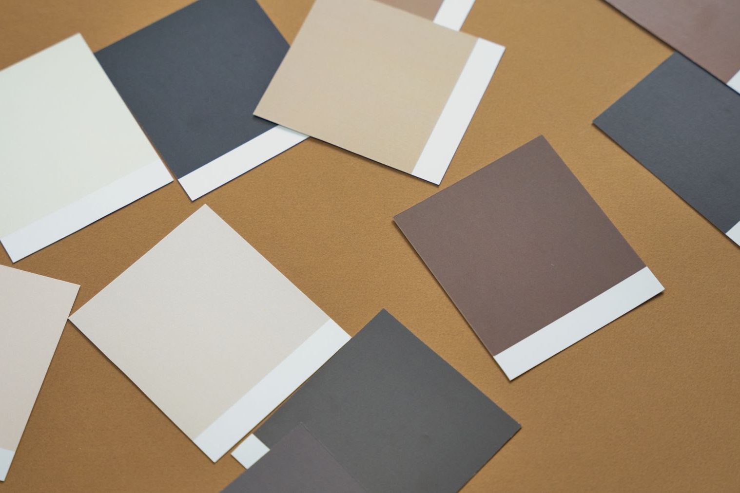 Blank paint sample cards in warm whites, beiges, taupes and cool greys on an ochre surface
